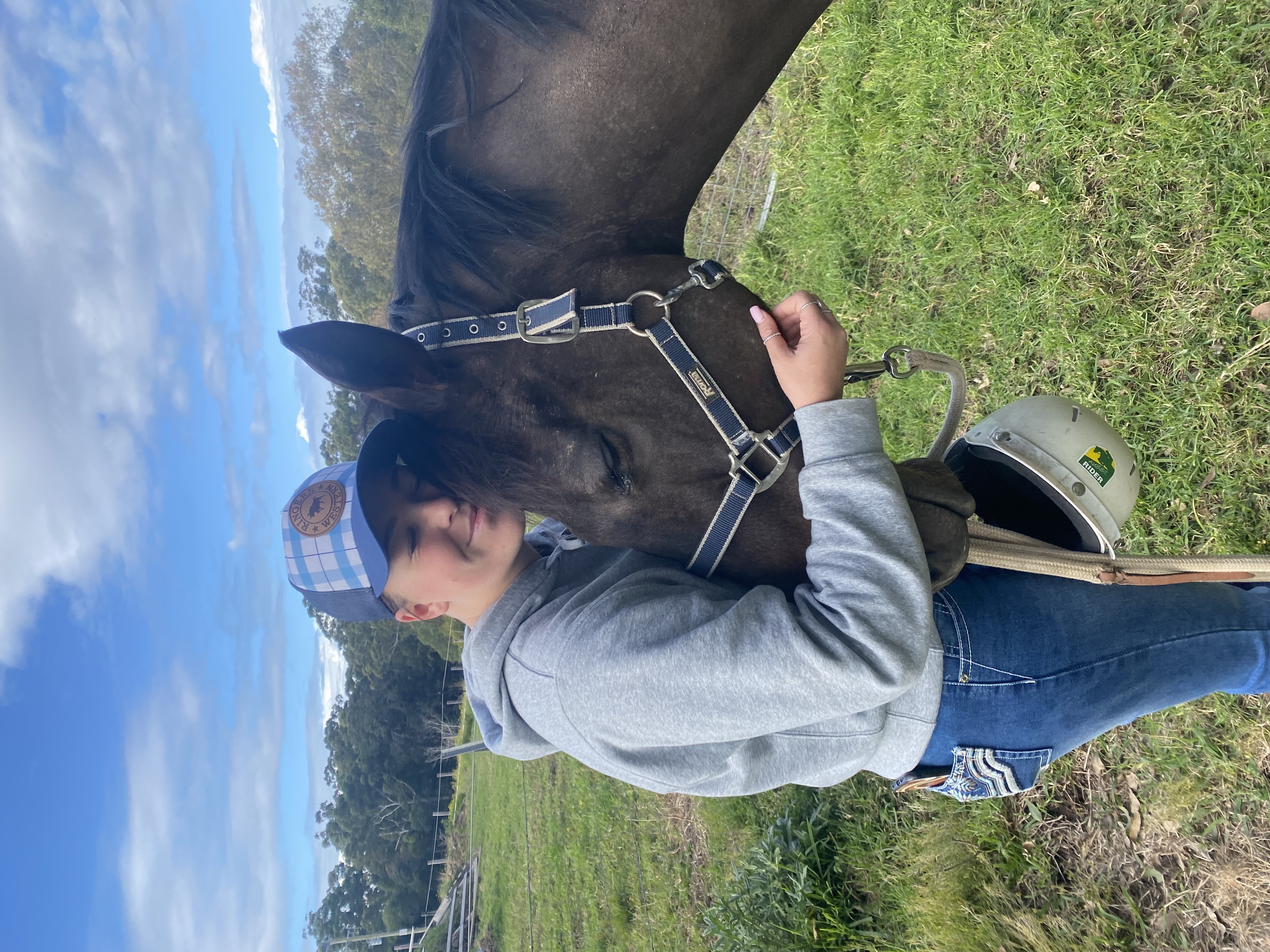 17.1hh Thoroughbred Gelding  — Thoroughbred (photo 5)