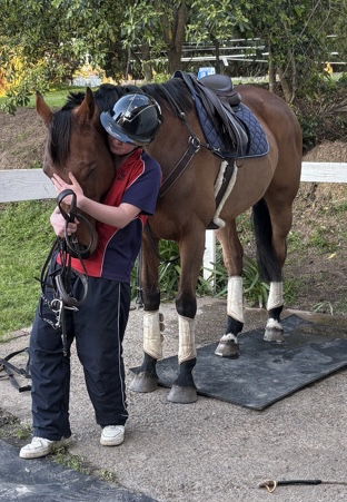 GENUINE TALENT 10yo Warmblood X TB "Xander" — WARMBLOOD X TB (photo 6)