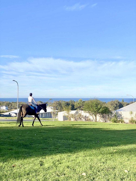 17.1hh Thoroughbred Gelding  — Thoroughbred (photo 4)