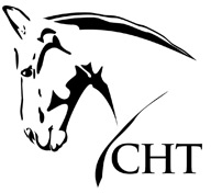 Champions Horse Transport — Lower Light, SA