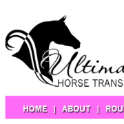 Ultimate Horse Transport — Burra, NSW (photo 2)