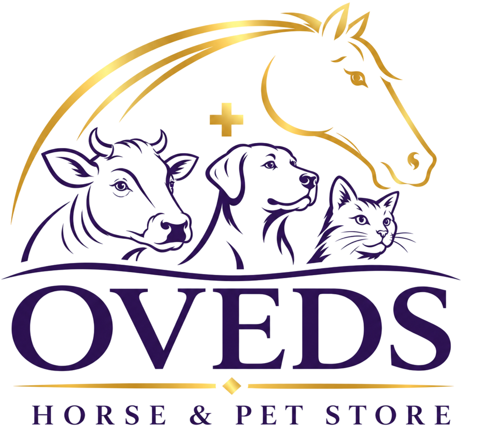 Omar's Veterinary Equine Dental Services — Kuraby, QLD