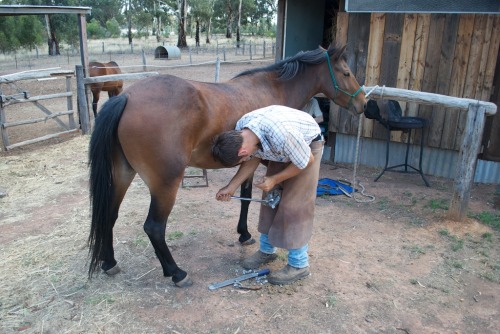 Liam Sing Farrier