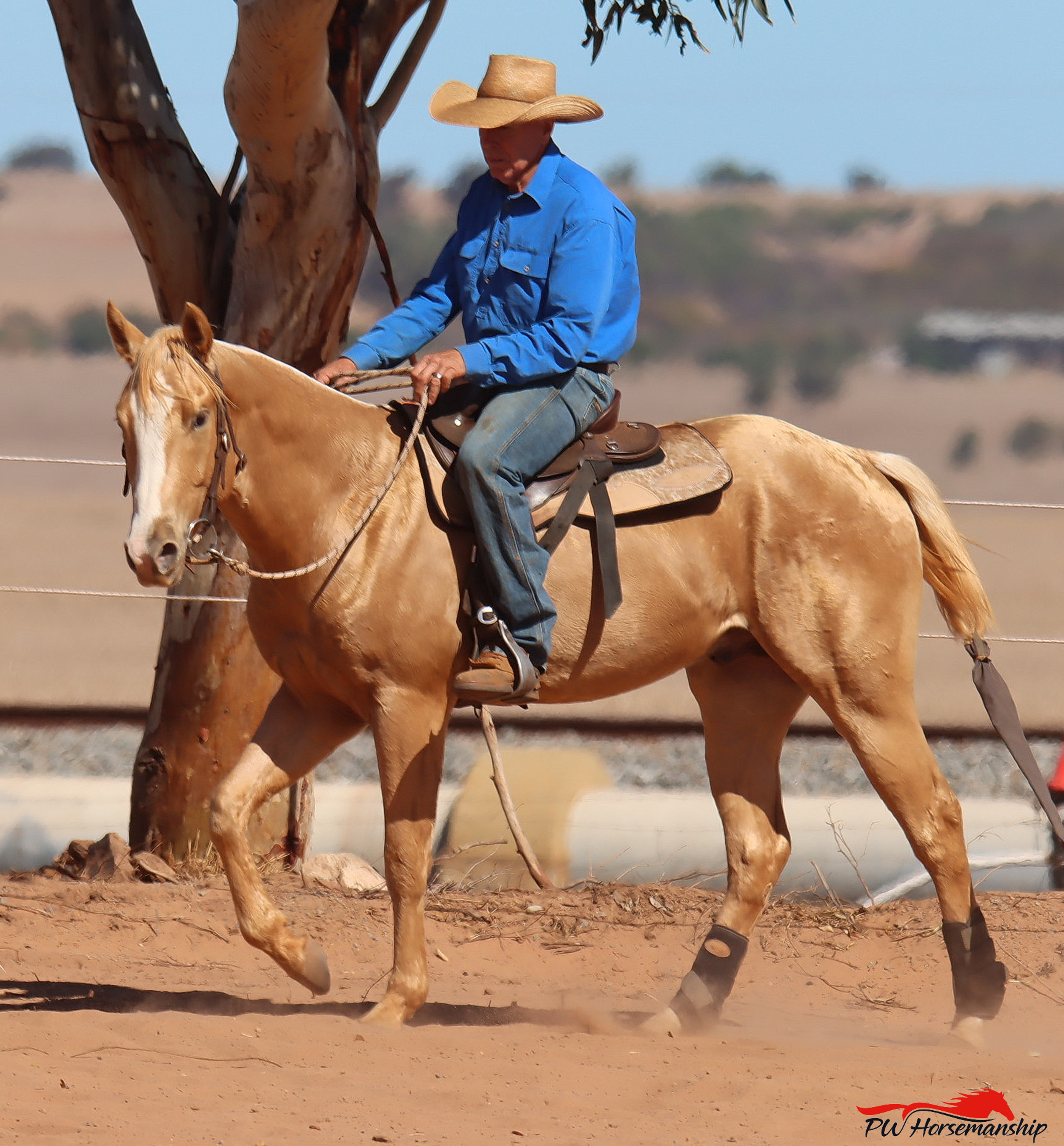 PW Horsemanship — Georgina, WA