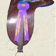 Tony Gifford Custom Saddlery — Emu Vale, QLD