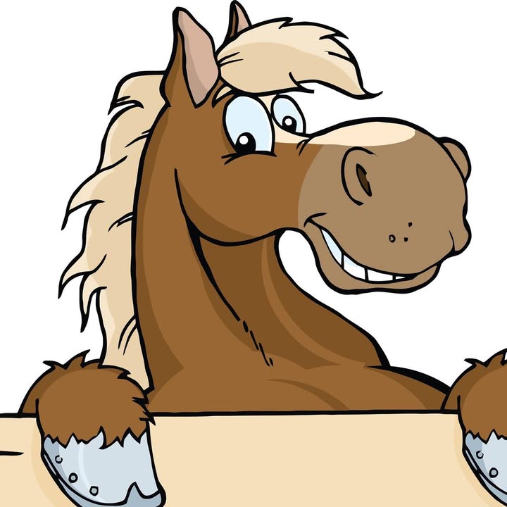 Wauchope Saddlery — Wauchope, NSW
