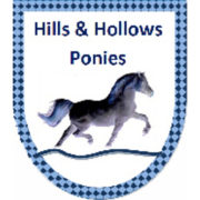 Hills & Hollows Horse Riding School — The Oaks, NSW