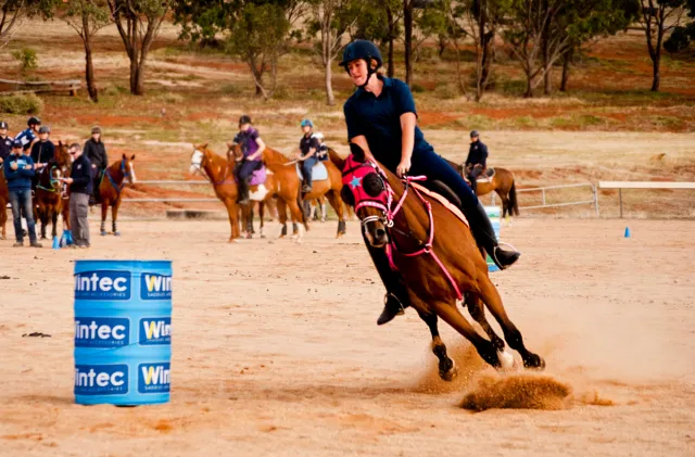 SILVER SUNRIZE EQUINE — Koo Wee Rup, VIC (photo 2)