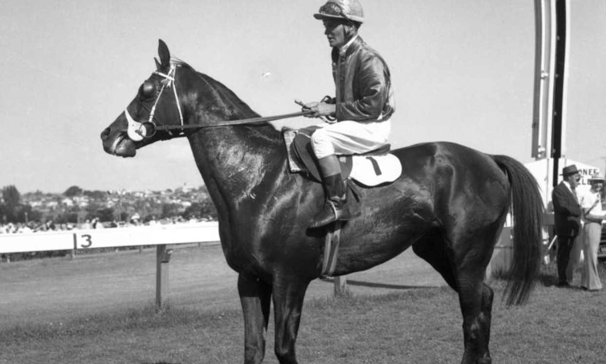 Aquanita Racing Australia Pty Ltd — Caulfield East, VIC (photo 1)