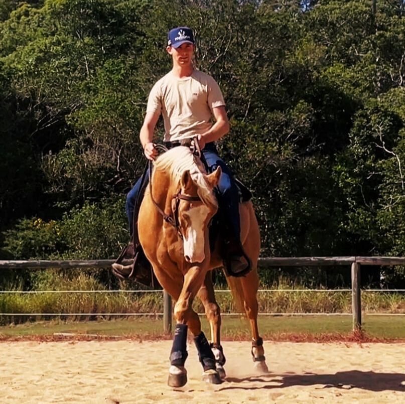 Stuart Clunes Equine Training