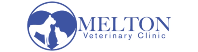 Melton Veterinary Clinic — Melton, VIC