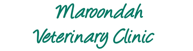 Maroondah Veterinary Clinic — Croydon, VIC