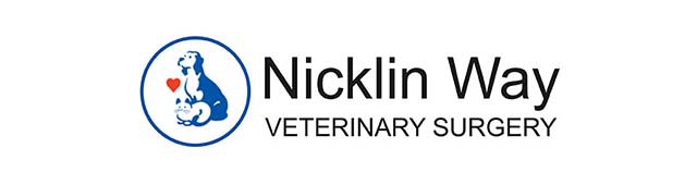 Nicklin Way Veterinary Surgery — Warana, QLD
