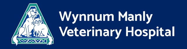 Wynnum Manly Vet Hospital — Wynnum, QLD
