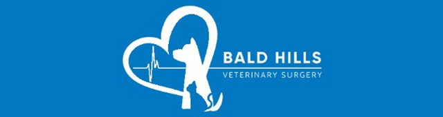 Bald Hills Veterinary Surgery — Bald Hills, QLD