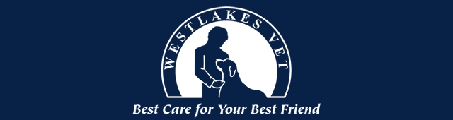 Westlakes Veterinary Hospital — Fennell Bay, NSW