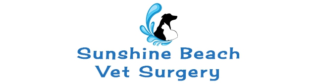 Sunshine Beach Veterinary Surgery — Sunshine Beach, QLD