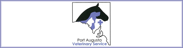 Port Augusta Veterinary Services — Port Augusta, SA
