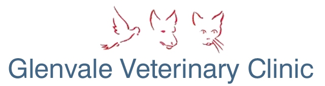 Glenvale Veterinary Clinic