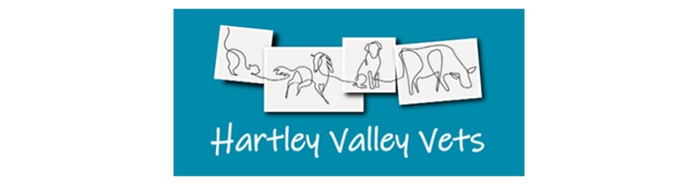 Hartley Valley Vets — Little Hartley, NSW