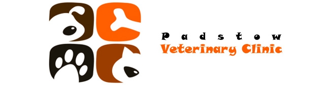 Padstow Veterinary Clinic  Dr Yee Keong Leong — Padstow, NSW