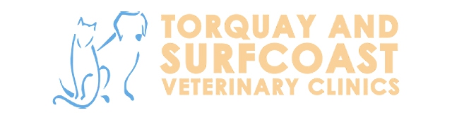 Torquay and Surfcoast Veterinary Clinics — Torquay, VIC