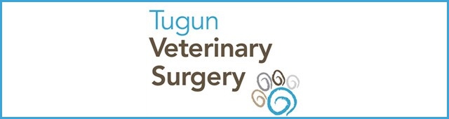 Tugun Veterinary Surgery — Tugun, QLD