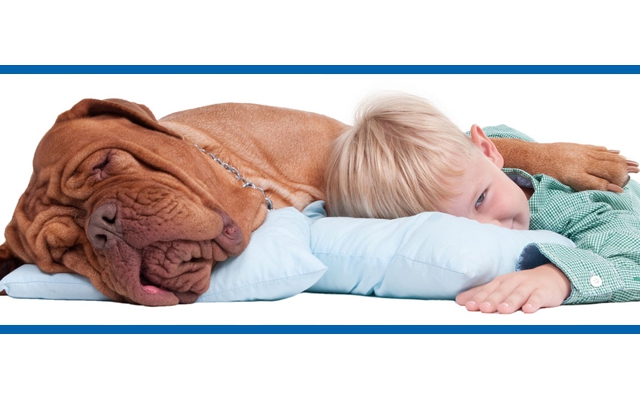 Kanwal Veterinary Hospital — Kanwal, NSW