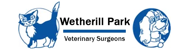 Wetherill Park Vet Clinic — Wetherill Park, NSW