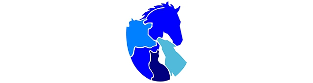 South Coast Veterinary Hospital — Kiama, NSW