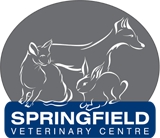Springfield Veterinary Centre — Moonah, TAS