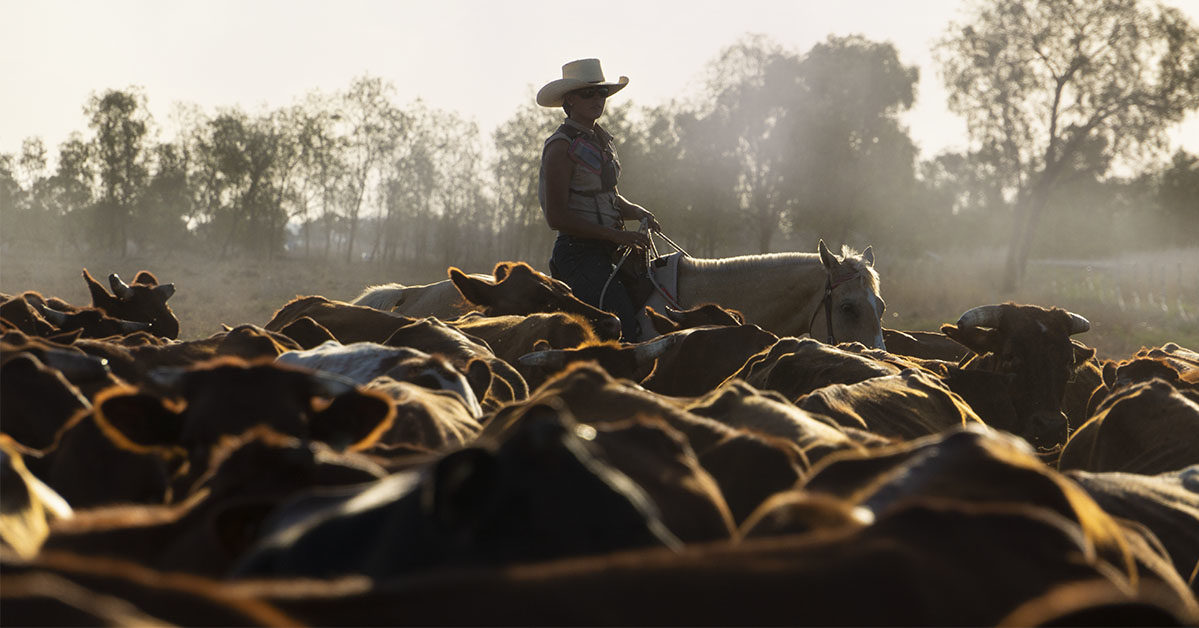 Ambos Stockfeeds — Young, NSW